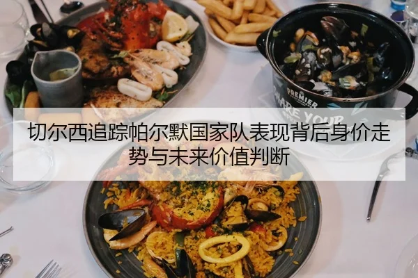 切尔西追踪帕尔默国家队表现背后身价走势与未来价值判断