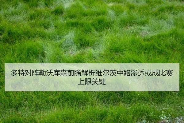 多特对阵勒沃库森前瞻解析维尔茨中路渗透或成比赛上限关键